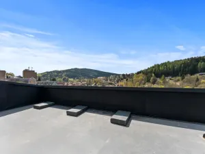 Prodej bytu 1+kk, Tanvald, Raisova, 22 m2