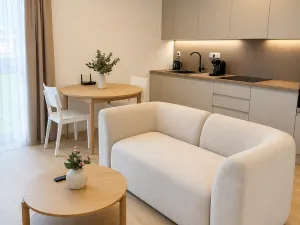 Prodej bytu 1+kk, Brno, Auerswaldova, 35 m2