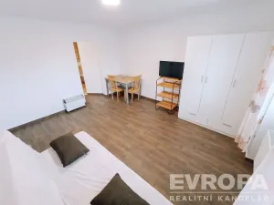 Pronájem bytu 1+1, Vševily, 30 m2