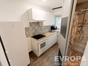 Pronájem bytu 1+1, Vševily, 30 m2