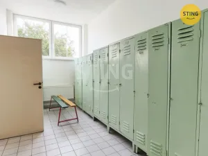 Pronájem skladu, Ostrava, Paskovská, 600 m2