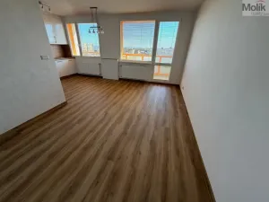 Prodej bytu 3+1, Most, Růžová, 68 m2