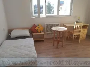 Pronájem pokoje, Brno, Jugoslávská, 20 m2
