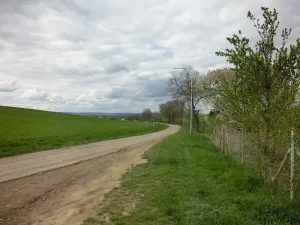 Prodej zahrady, Kunovice, 878 m2