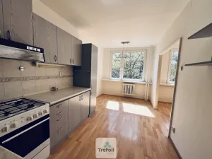 Pronájem bytu 3+1, Praha, Dürerova, 66 m2