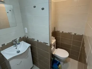 Pronájem bytu 2+1, Cheb, 17. listopadu, 49 m2