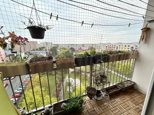 Prodej bytu 2+1, Pardubice, Luďka Matury, 71 m2