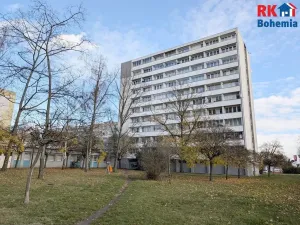 Pronájem bytu 1+1, Mladá Boleslav, Jičínská, 37 m2