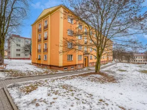 Pronájem bytu 2+1, Ostrov, Lidická, 54 m2