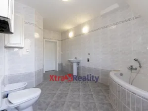 Prodej komerční nemovitosti, Modlany - Drahkov, 2300 m2