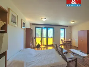 Prodej bytu 1+kk, Beroun - Beroun-Město, Nad Paloučkem, 36 m2