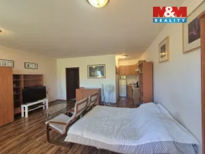 Prodej bytu 1+kk, Beroun - Beroun-Město, Nad Paloučkem, 36 m2