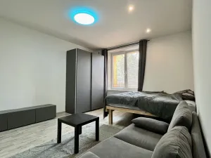 Pronájem bytu 1+1, Ostrava - Zábřeh, Březinova, 41 m2