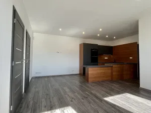 Pronájem bytu 3+kk, Ostrava - Heřmanice, Koněvova, 59 m2