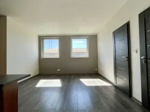 Pronájem bytu 3+kk, Ostrava - Heřmanice, Koněvova, 59 m2