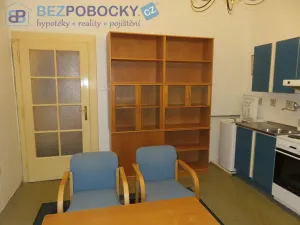 Pronájem bytu 1+1, Praha, Haštalské náměstí, 48 m2