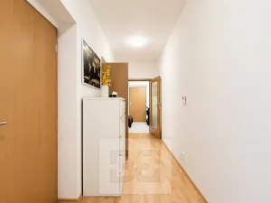 Pronájem bytu 3+kk, Brno, U Leskavy, 94 m2