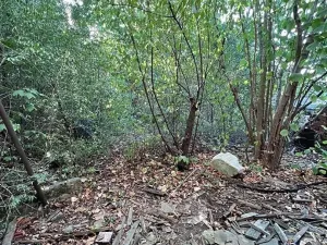 Prodej rodinného domu, Klatovy, Akátová, 390 m2