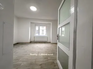 Prodej bytu 2+kk, Ústí nad Labem - Střekov, Purkyňova, 48 m2