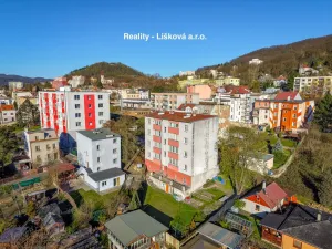 Prodej bytu 2+kk, Ústí nad Labem - Střekov, Purkyňova, 48 m2