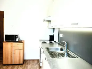 Pronájem bytu 3+1, Liberec, Haškova, 75 m2