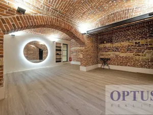 Pronájem bytu 5+kk, Praha - Staré Město, Dušní, 192 m2