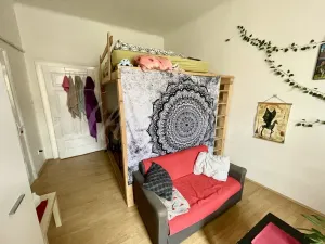 Pronájem bytu 2+1, Brno - Staré Brno, Pekařská, 62 m2