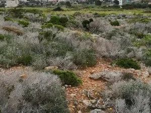 Prodej pozemku pro bydlení, Stavros, Řecko, 4880 m2