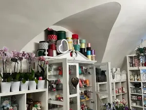 Pronájem obchodního prostoru, Kolín, 80 m2