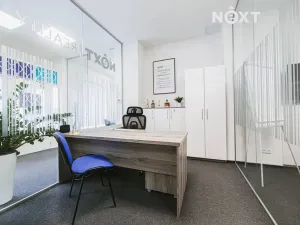 Pronájem kanceláře, Brno, Křídlovická, 115 m2