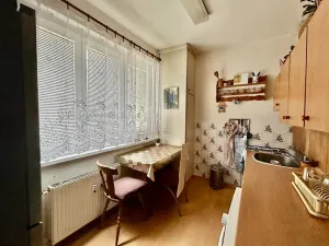 Prodej bytu 2+1, Bílina, M. Švabinského, 55 m2