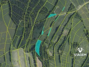Prodej podílu lesa, Roztoky u Semil, 6000 m2