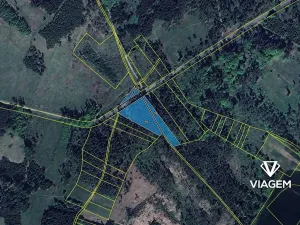 Prodej lesa, Račice, 5005 m2