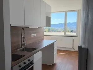 Pronájem bytu 1+kk, Liberec, Březová alej, 22 m2