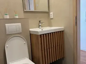 Pronájem bytu 1+kk, Liberec, Březová alej, 22 m2