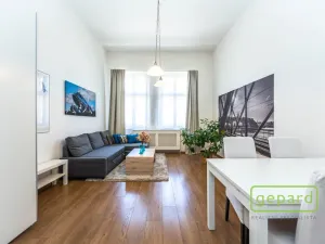 Pronájem bytu 1+kk, Praha, Radlická, 38 m2