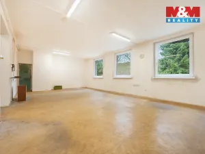 Pronájem výrobních prostor, Domažlice - Bezděkovské Předměstí, Masarykova, 770 m2