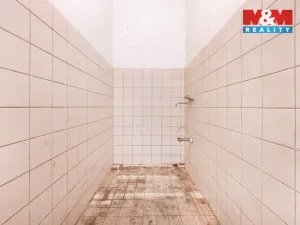 Pronájem výrobních prostor, Domažlice - Bezděkovské Předměstí, Masarykova, 770 m2