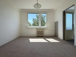 Prodej bytu 1+1, Louny, Březinova, 36 m2