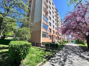 Pronájem bytu 1+1, Ústí nad Labem - Ústí nad Labem-centrum, Stará, 36 m2