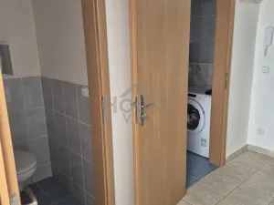 Pronájem bytu 1+kk, Praha - Motol, Kudrnova, 33 m2