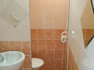 Pronájem bytu 1+1, České Budějovice, J. Opletala, 37 m2