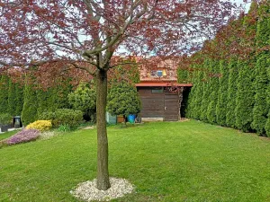 Pronájem rodinného domu, Hluk, 200 m2