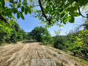 Pronájem zahrady, Krnov - Pod Bezručovým vrchem, Bruntálská, 400 m2