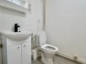 Pronájem komerční nemovitosti, Most, Františka Malíka, 28 m2