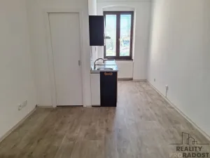 Pronájem bytu 1+1, Děčín, Horská, 38 m2