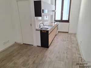 Pronájem bytu 1+1, Děčín, Horská, 39 m2