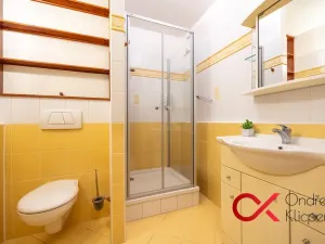 Prodej bytu 2+kk, Praha - Hlubočepy, Brichtova, 45 m2