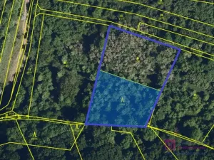 Prodej lesa, Klobouky u Brna, 4858 m2