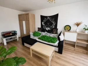 Prodej bytu 1+1, Most, K. J. Erbena, 35 m2